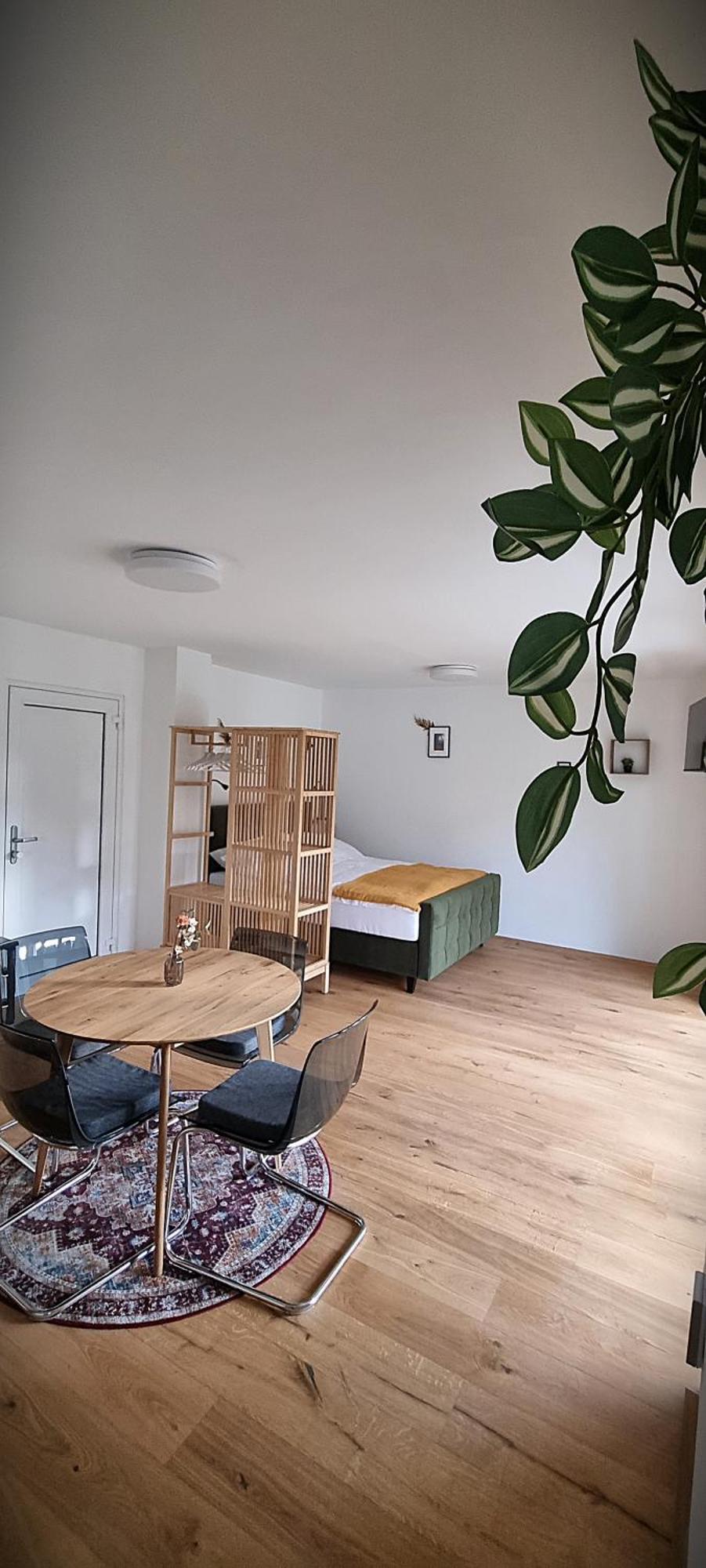Apartments In グラーツ エクステリア 写真